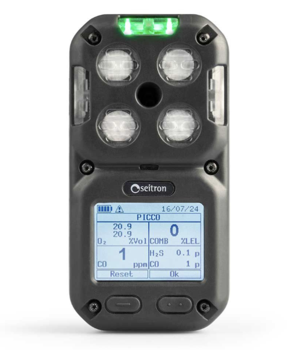 SEITRON Multi-Gas Portable GasDetector, 4 gas sensors: O2 Longlife, CO,H2S, LEL (CH4). photo 4